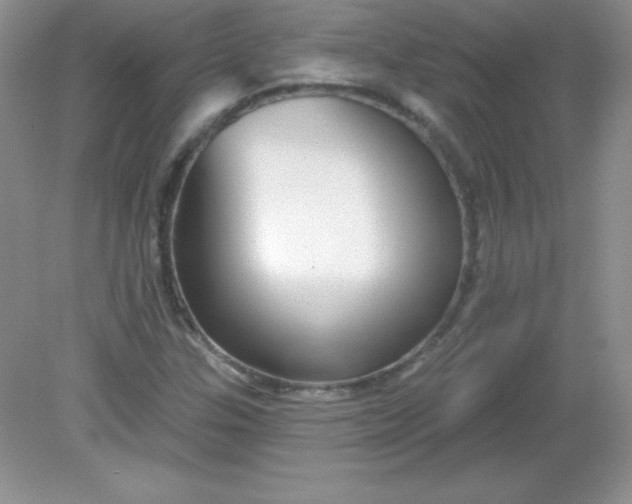 X0000082161307200702021650