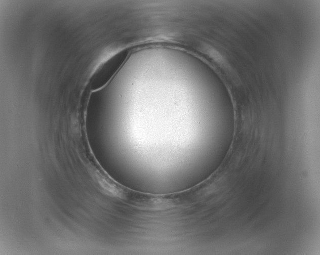 X0000082161308200702021650
