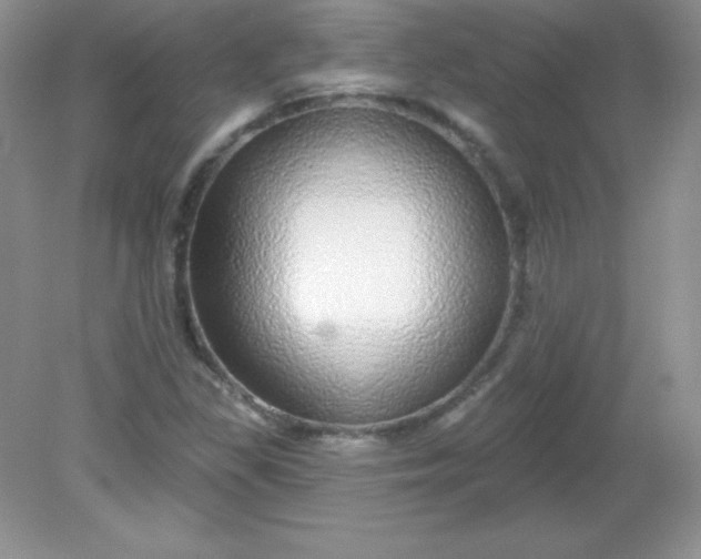 X0000082161309200702021650
