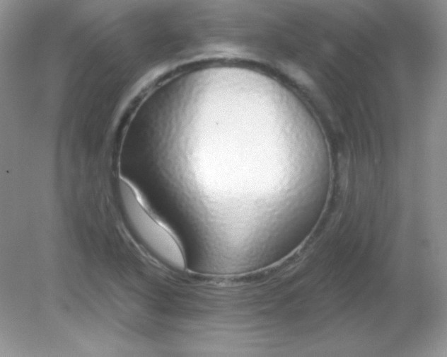 X0000082161318200702021650
