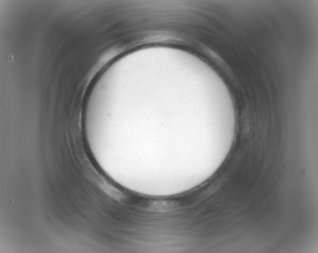 X0000082161322200702021651
