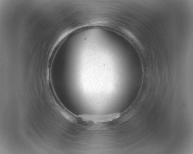X0000082161324200702021651