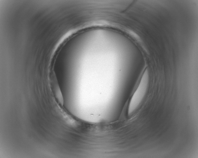 X0000082161326200702021651