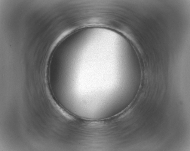 X0000082161333200702021651