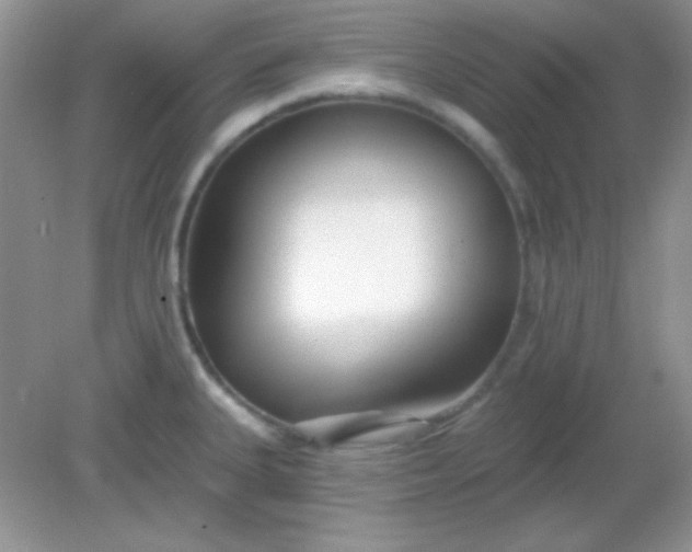 X0000082161335200702021651