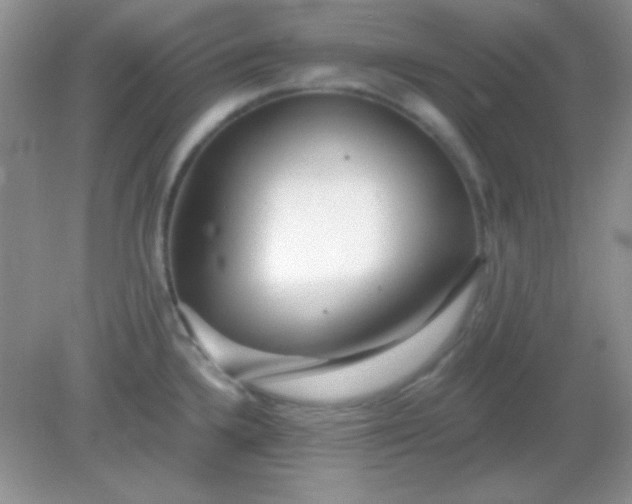 X0000082161336200702021651