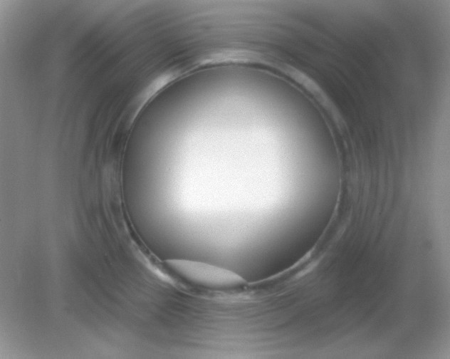 X0000082161337200702021651