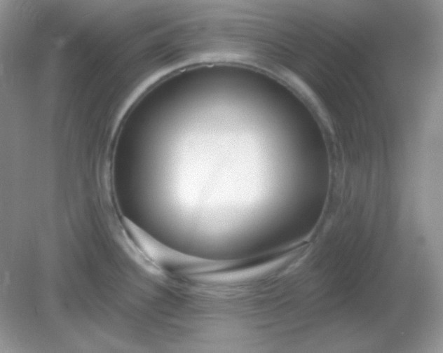X0000082161340200702021651