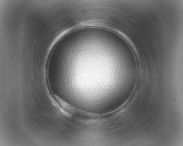 X0000082161341200702021651