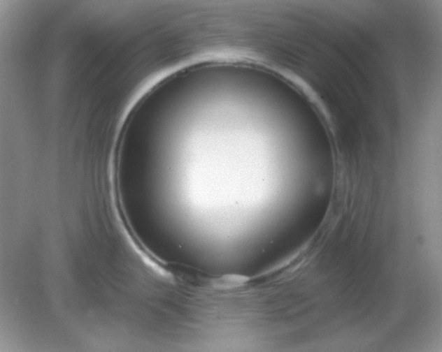 X0000082161343200702021651