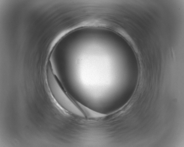 X0000082161344200702021651