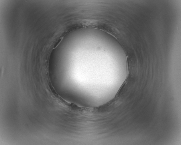 X0000082161345200702021650