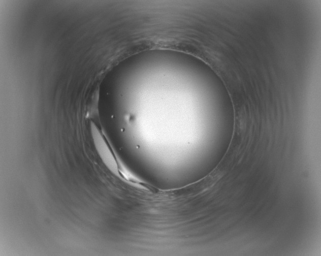 X0000082161346200702021650