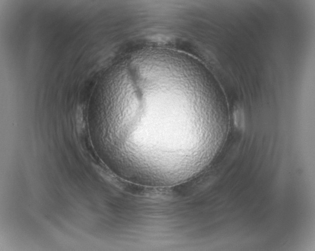 X0000082161347200702021650