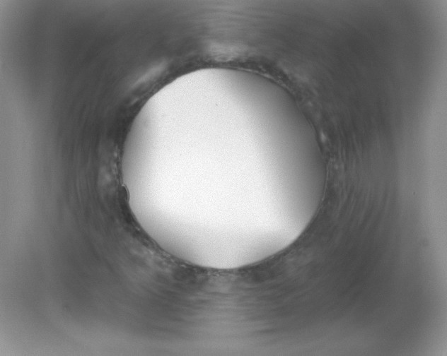 X0000082161349200702021650