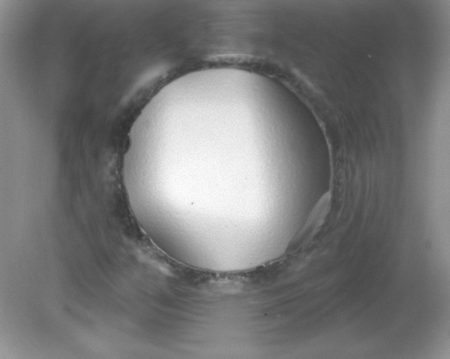 X0000082161351200702021650