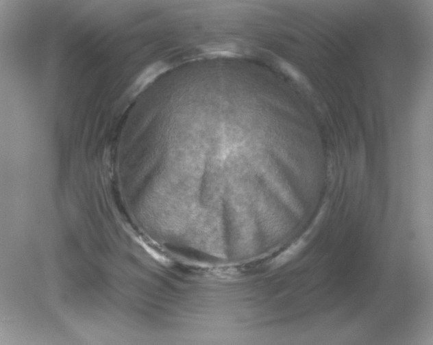 X0000082161353200702021650