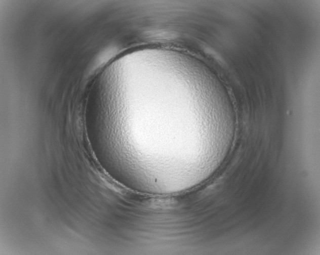 X0000082161354200702021650