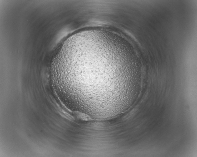 X0000082161355200702021650