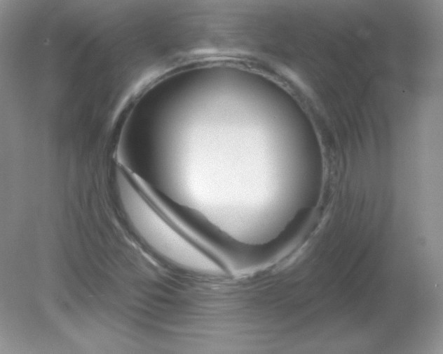 X0000082161357200702021650