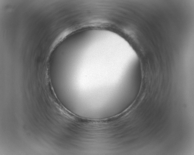 X0000082161362200702021650