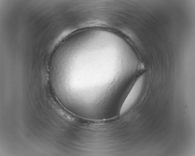 X0000082161363200702021650