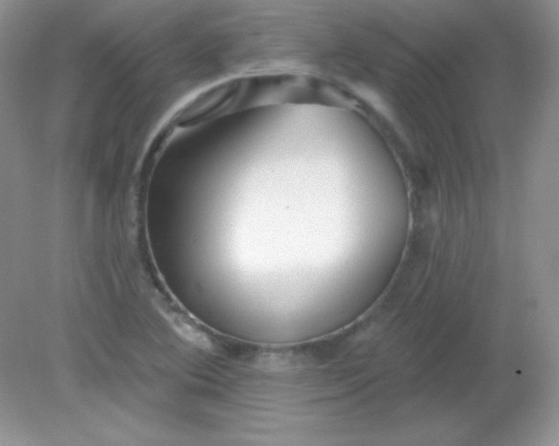 X0000082161364200702021650