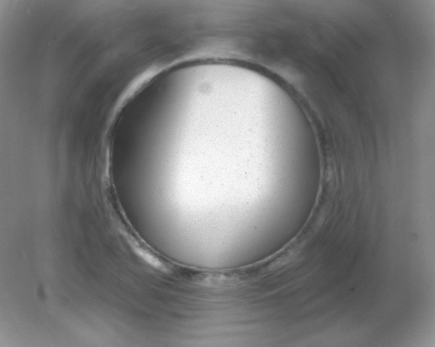 X0000082161366200702021650