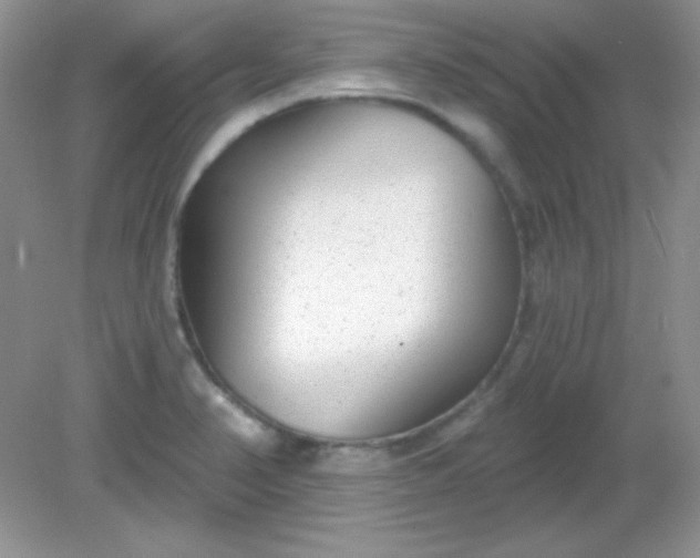 X0000082161374200702021650