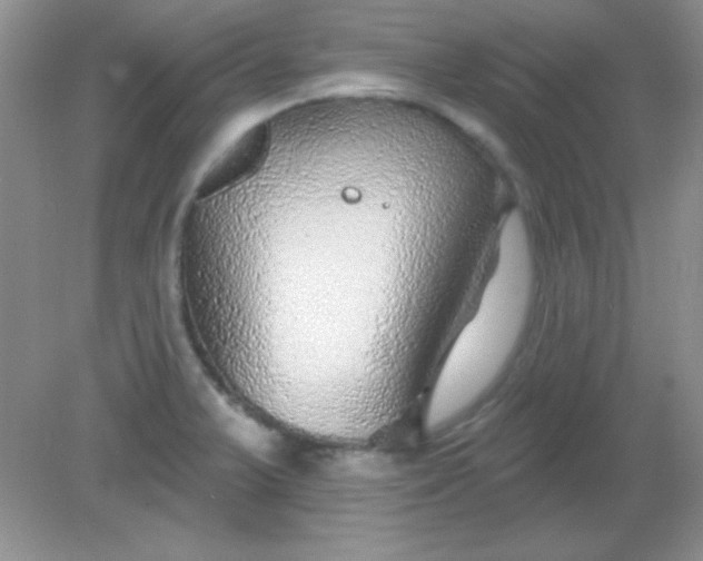 X0000082161375200702021650