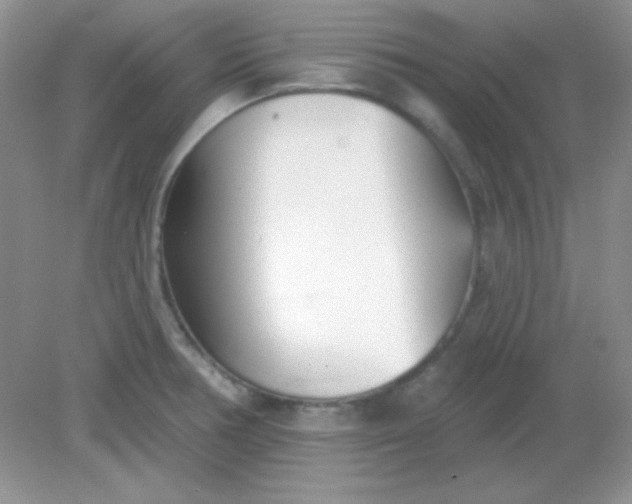 X0000082161378200702021650