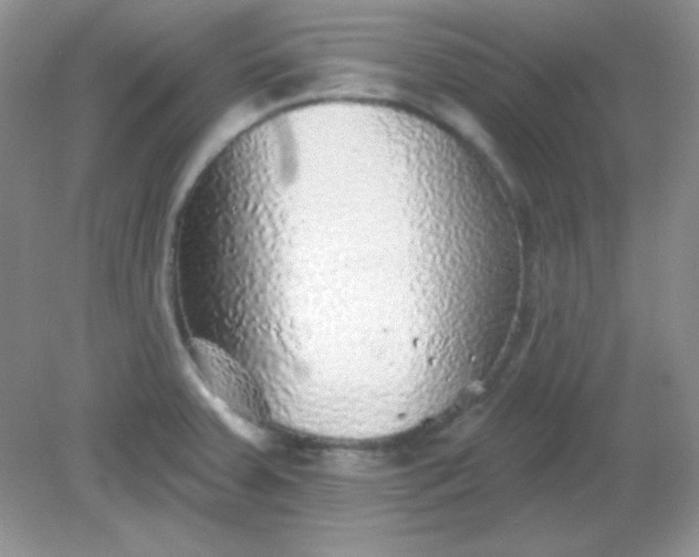 X0000082161379200702021650