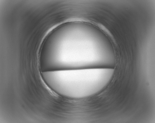 X0000082161380200702021650
