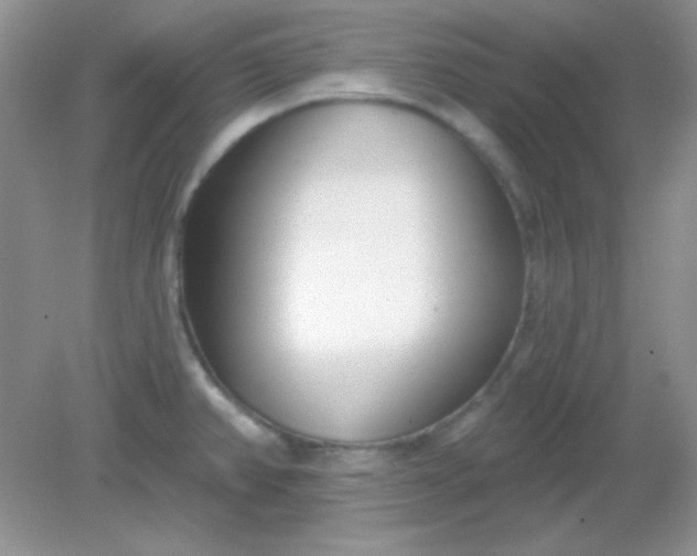 X0000082161382200702021649