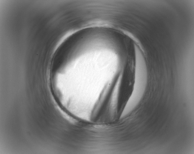 X0000082161383200702021649