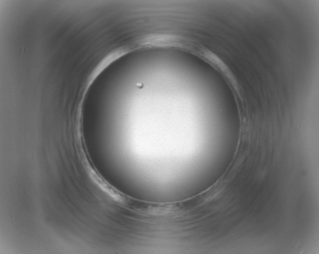 X0000082161386200702021649