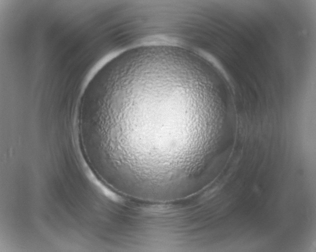 X0000082161387200702021649
