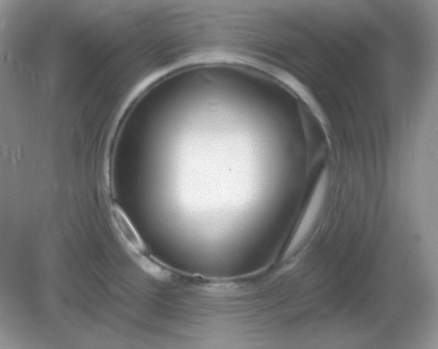 X0000082161388200702021649