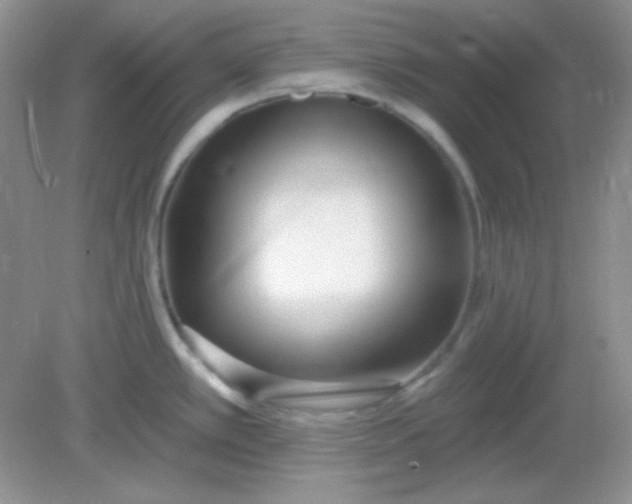 X0000082161389200702021649