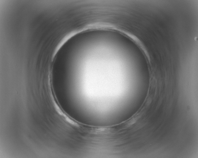 X0000082161390200702021649
