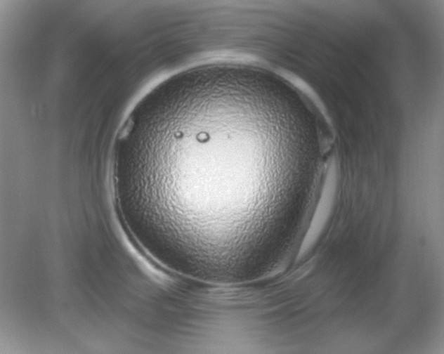 X0000082161391200702021649