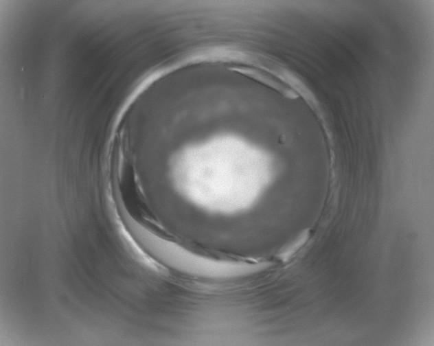 X0000082161392200702021649