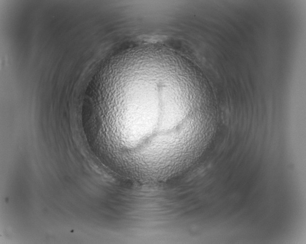X0000082161393200702021649