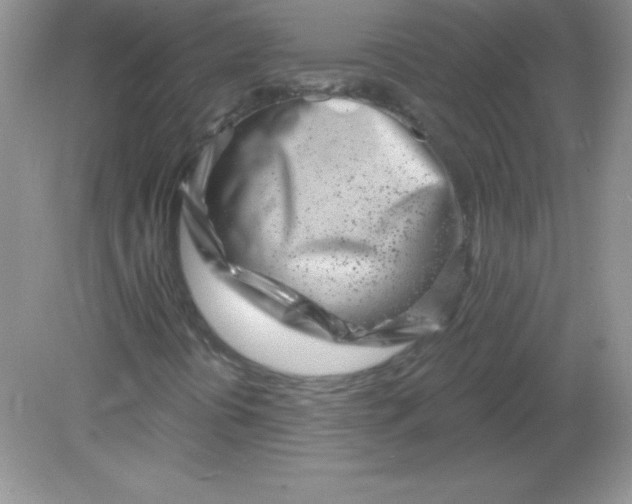 X0000082161394200702021649