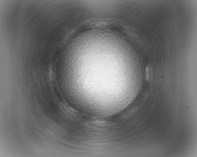 X0000082161395200702021649