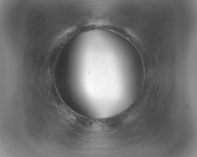 X0000082161398200702021649