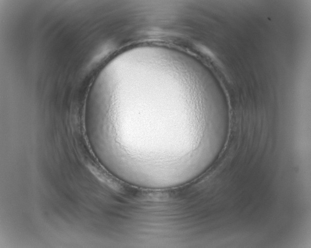 X0000082161403200702021649