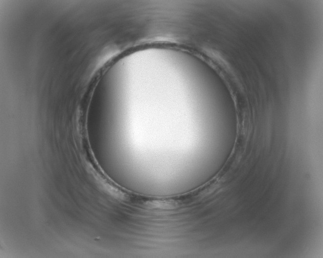 X0000082161404200702021649