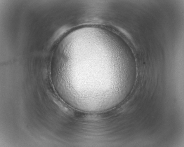 X0000082161407200702021649