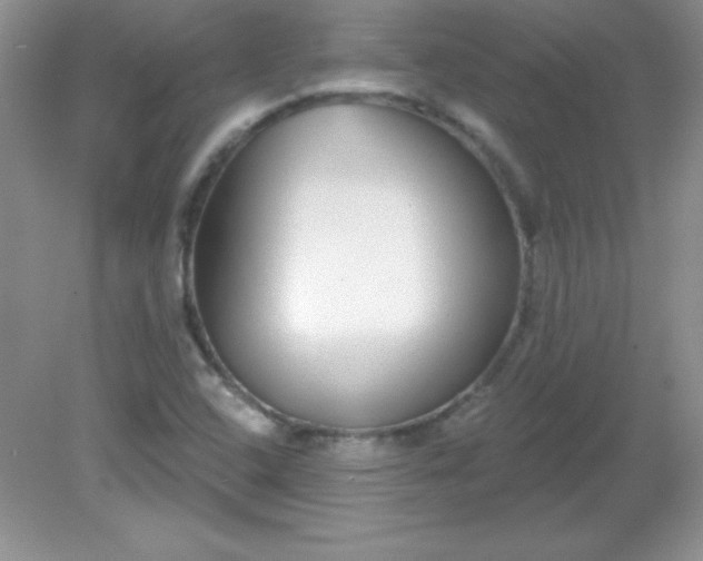 X0000082161408200702021649